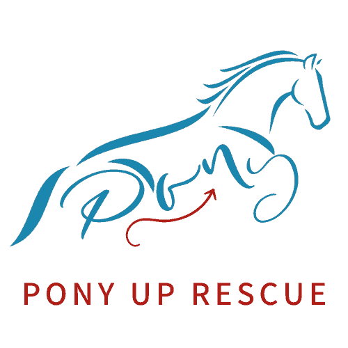 Pony Up Rescue Collective Chappy & Friends